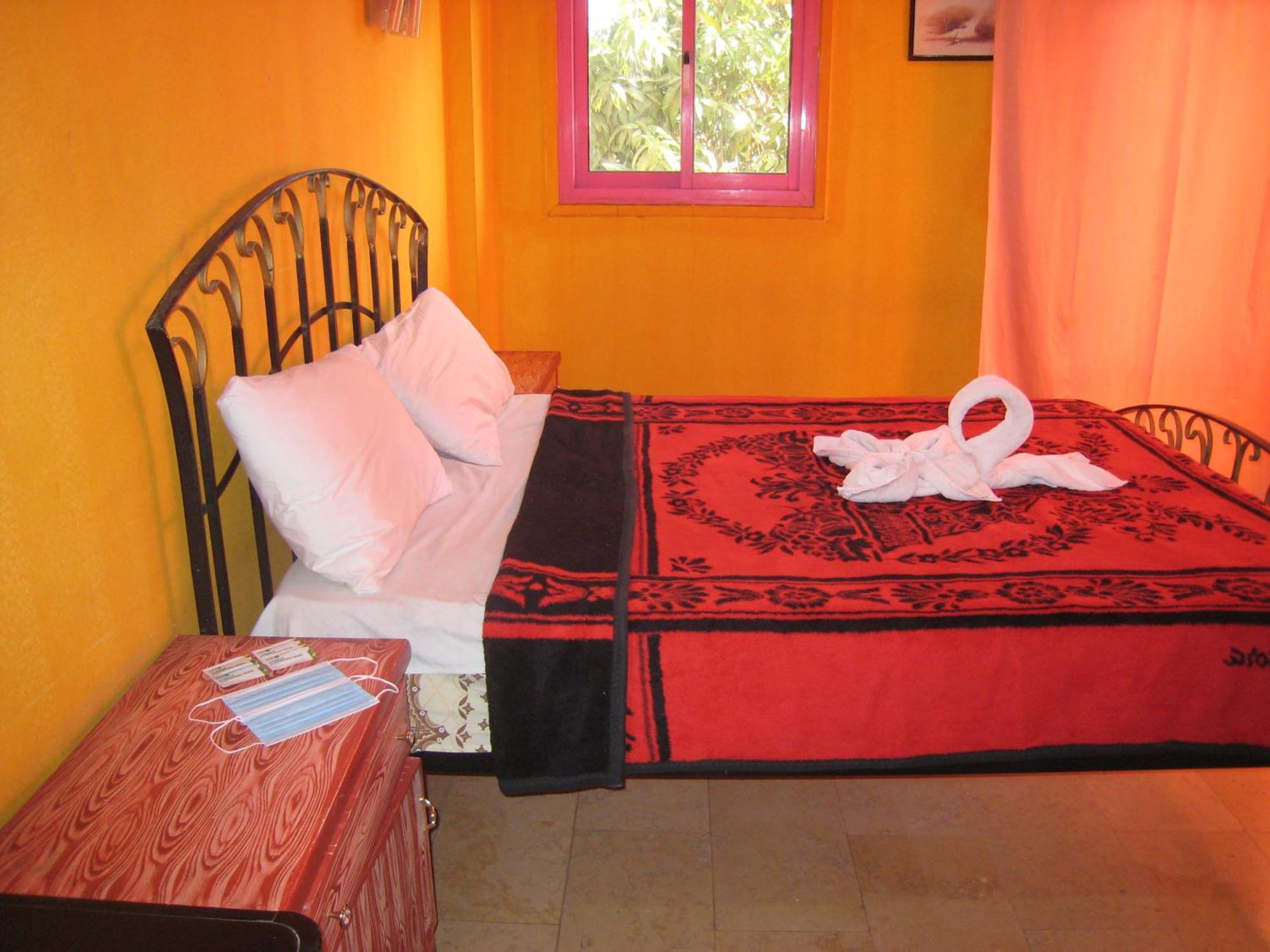 Ramsess Hostel Luxor Room photo